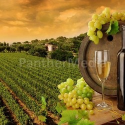 Wein mit Landschafts-Hintergrund