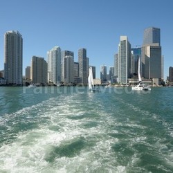 downtown miami skyline,florida usa