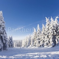 on the ski slopes