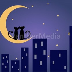night cityscape