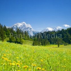 mountains