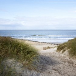 beach in holland