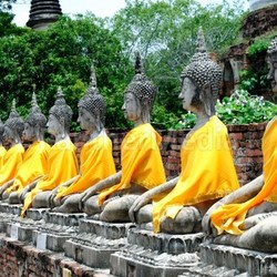 Buddha statues