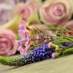 summery cut flowers