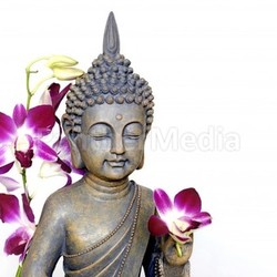 buddha and orchid