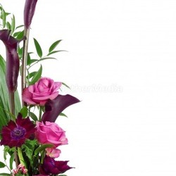 Bouquet isolated on white background  