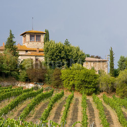 house with vineyard