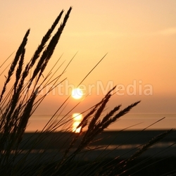 sunset at the beach