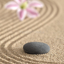zen garden