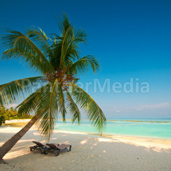tropical dream beach