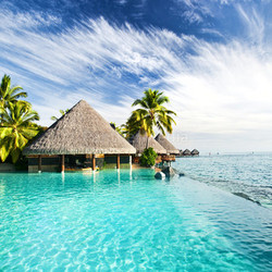 Infinity pool with palms
