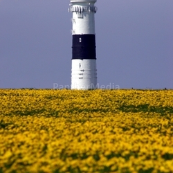 camping capped buttercup sylt raining sky assistance