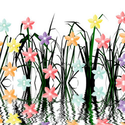flower meadow reflection