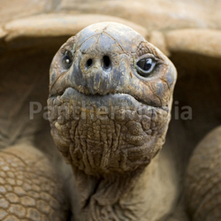are you looking at