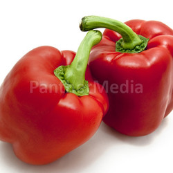 Rote Paprika