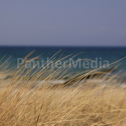 baltic sea