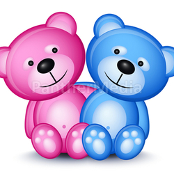 Teddy bear couple