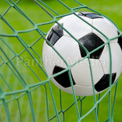 soccer ball flying into the goal