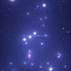 das STernbild Orion