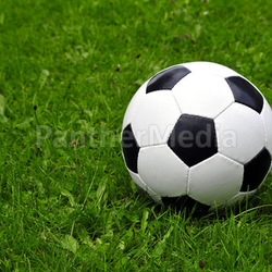 Fussball Wiese WM