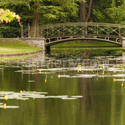channel in the castle park with bridge