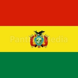 The national flag of Bolivia