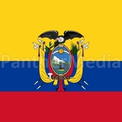 The national flag of Ecuador