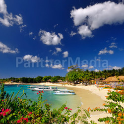 dream beach