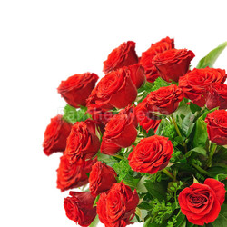 roses