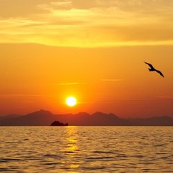 sunset