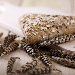 Vollkorn Brot