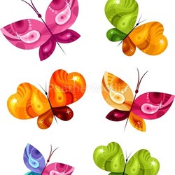 butterfly card