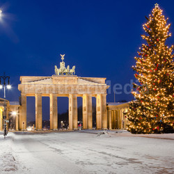christmas tree at brandenburg gate