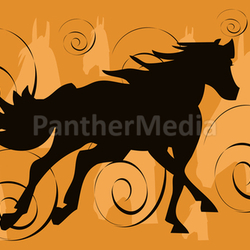 Pferdesilhouette