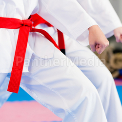 martial arts training in the gym