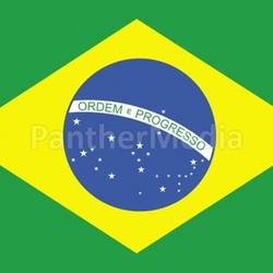Brazilian Flag