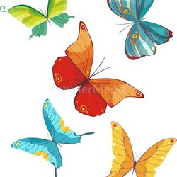butterfly set
