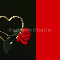 heart and rose
