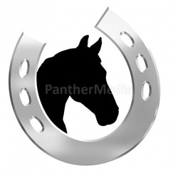 logo horse,horseshoe