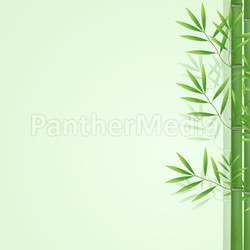 Abstract nature lucky bamboo poster card