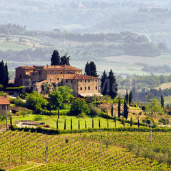 tuscany weingut - tuscany vineyard 03