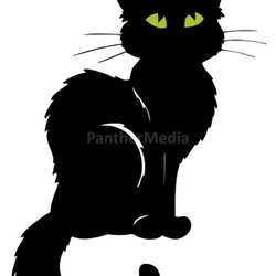Dark cat silhouette