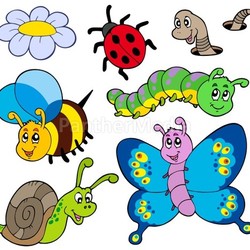 Garden animals collection