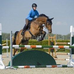 horse riding - show jumping