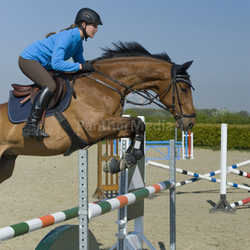Reiten - Springreiten