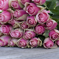 beautiful roses bouquet lying on a wooden table