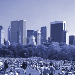 central park