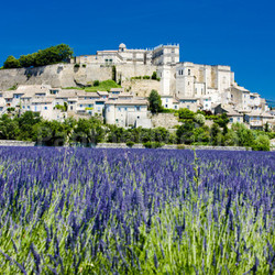 Grignan with lavender field, Département Drome, Rhone-Alpes, France