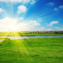 Sun rising above a field