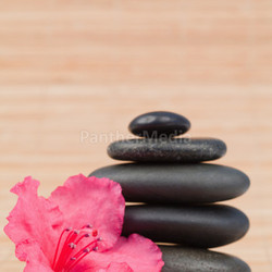 Pink orchid next to a black stones stack